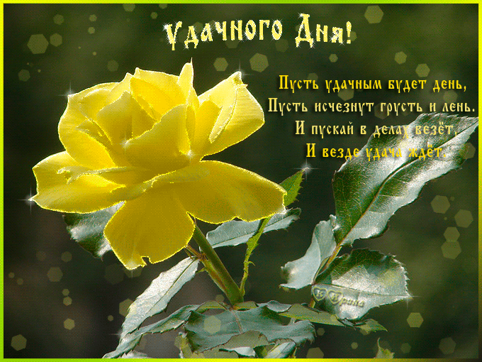 Приветливый день. Жёлтые цветы с добрыми пожеланиями. Хорошие пожелания. Хорошего дня с желтыми розами. Хорошего настроения и удачного дня цветы.