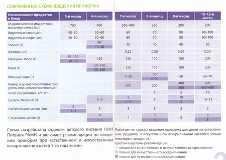 Мама зануда прикорм схема в 6 месяцев
