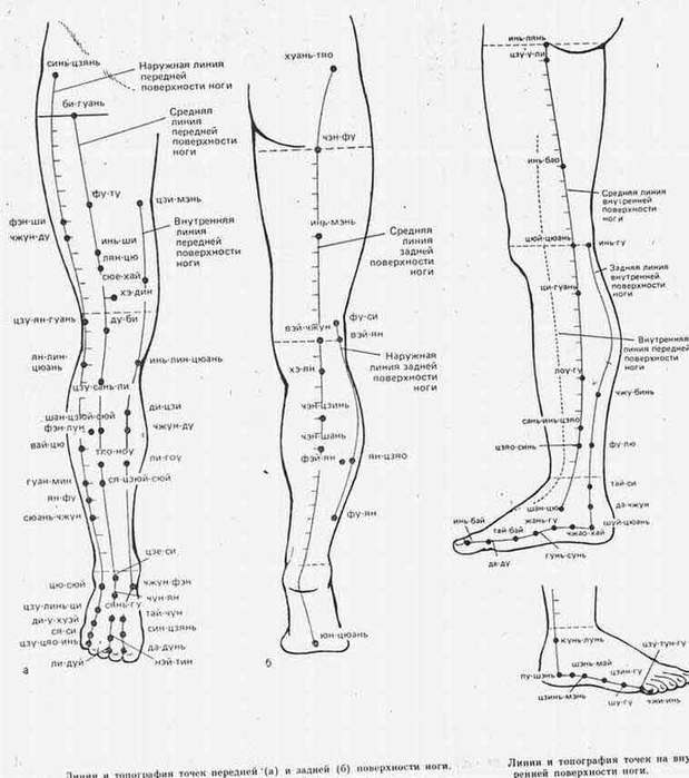 Точки ак. Точки акупунктуры меридианов стопы. Точки акупунктуры на ноге человека. Атлас меридианов человека голень. Точки акупунктура схема ноги.