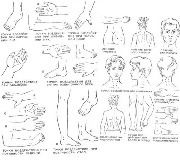 Китайская медицина точки на теле и их значение картинки на русском языке