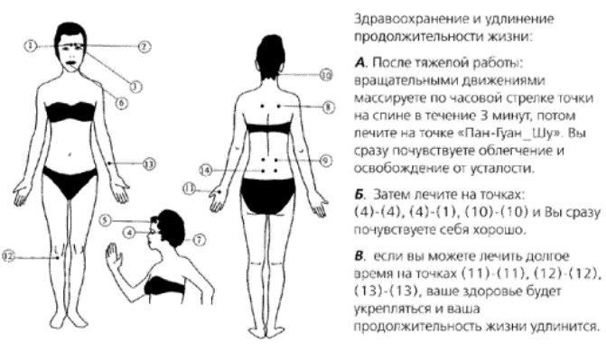 Схема установки пиявок на теле человека фото и описание