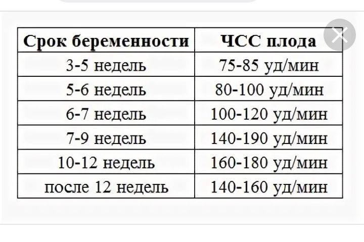 Пульс в 3 триместре