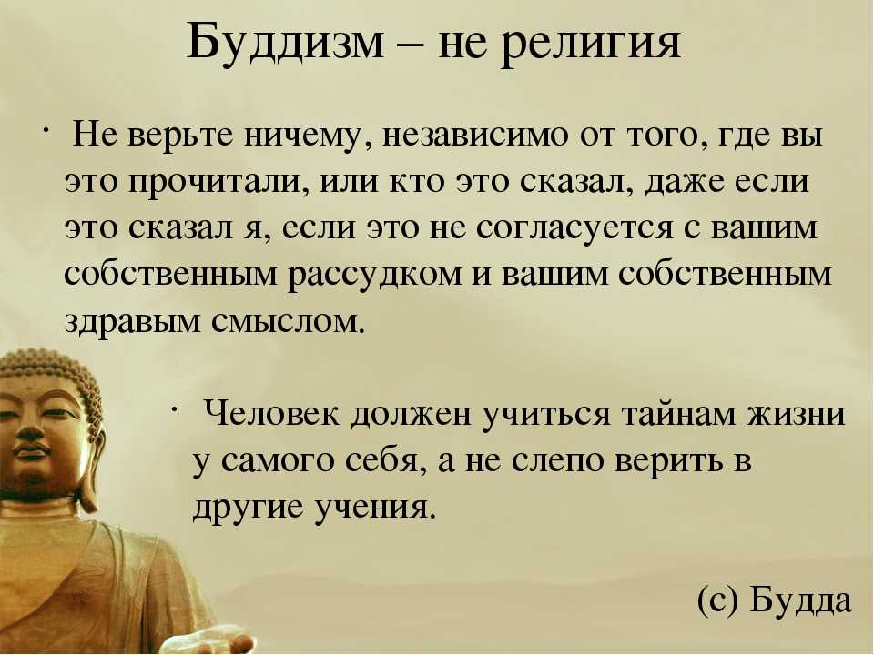 Нужна ли мудрость. Будда цитаты. Буддизм цитаты. Буддийские высказывания. Буддийские цитаты.