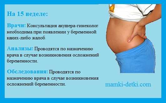 Тянет низ живота 16 недель беременности. Живот на 14-15 неделе беременности. 15 Недель. 14-15 Недель беременности. Живот на 14 неделе беременности.