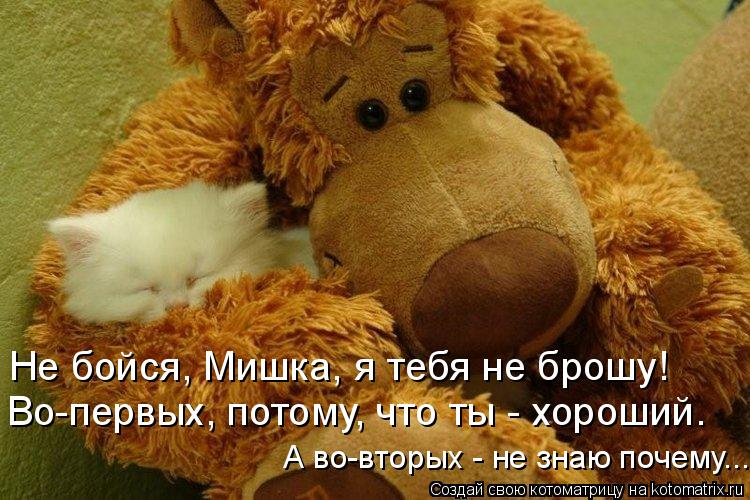 Потому что он хороший. Афоризмы про мишек. Люблю тебя мой мишка. Люблю тебя мой Медвежонок. Фразы плюшевый мишка.