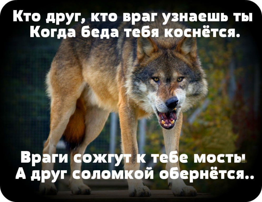 Кто друг кто враг а кто просто так картинки