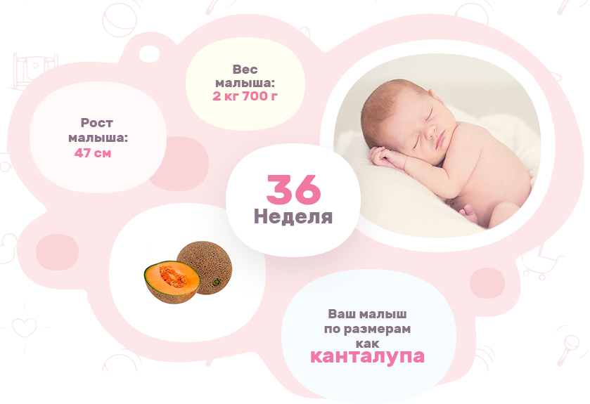 Малыш 36. Вес ребенка на 36 неделе. Вес плода в 36 недель. Сколько весит ребенок в 36 недель. Размер ребенка 36 недель.