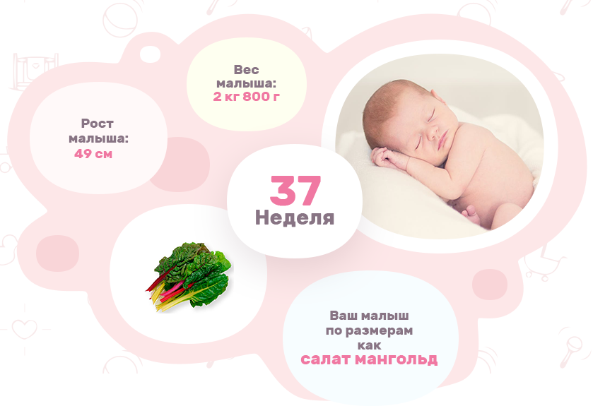 Pregnancy надпись. Беременность 37 неделя картинка ребенка и органов. 37 неделя легкие