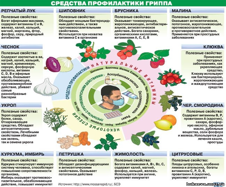 Презентация профилактические средства для предупреждения вирусных и простудных заболеваний