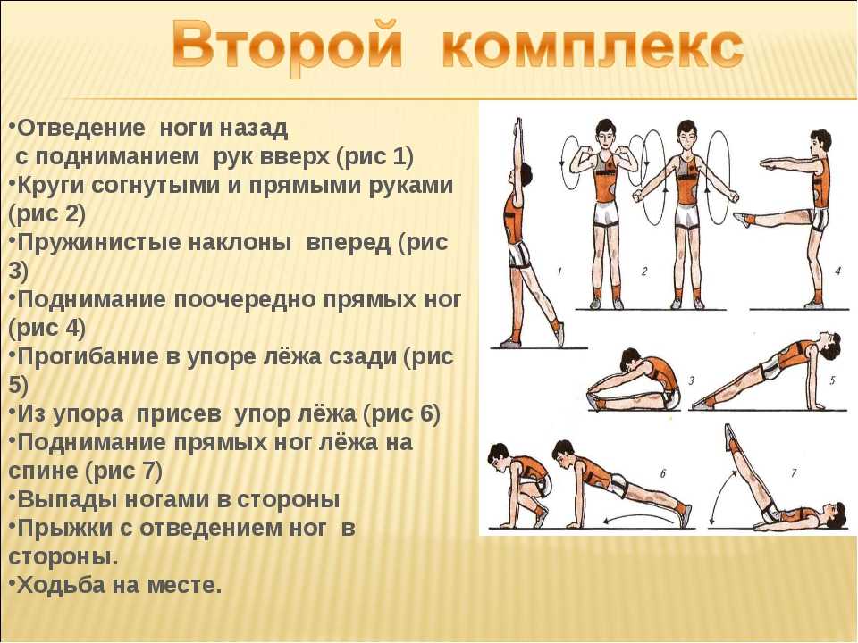 Проект комплекс упражнений по физической культуре 5 класс