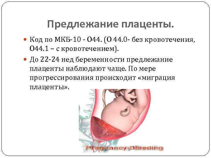 22 неделе плацента. Низкая плацентация при беременности код мкб 10. Предлежание плаценты. Степени предлежания плаценты. Предлежание плаценты мкб.
