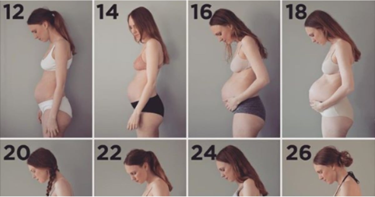 Как выглядит живот в начале беременности фото