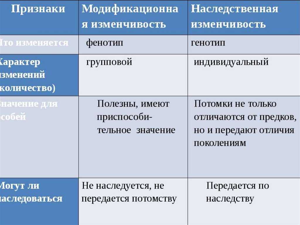 Массовые одобряемые образцы поведения наследуемые от предков принято называть