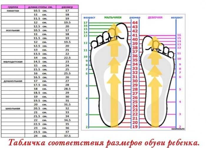 Нога 16 5 см. Размерная линейка мальчиков обувь. Таблица размера стельки и размера обуви детей. Как выбрать размер обуви по стельке. Как определить размер обуви детской в сантиметрах.
