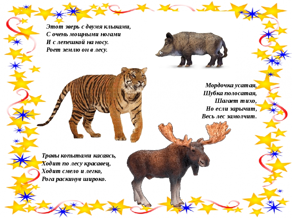 Детские Стихи о диких животных