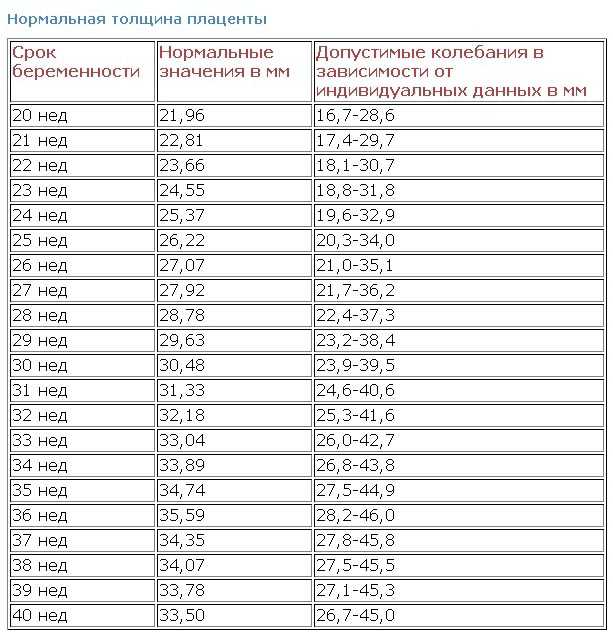 Как выглядит многоводие у беременной в картинке