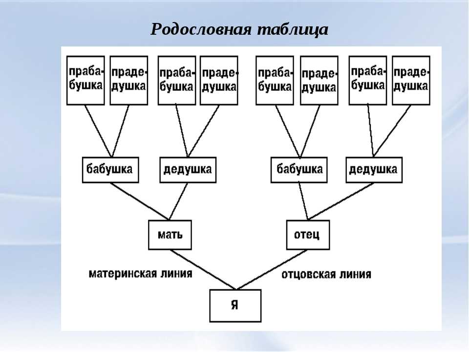 Степень родства в семье схема близкие родственники