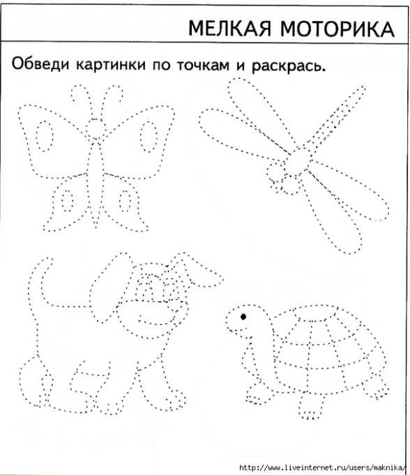 Развитие мелкой моторики у детей 4 5 лет картинки