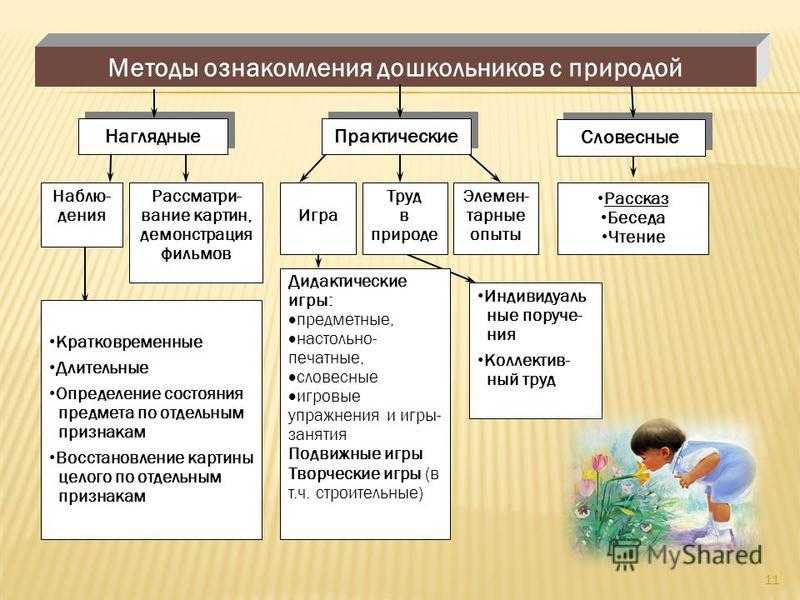 Какие действия ребенка входят в схему знакомства с предметом