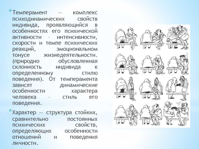 Типы темперамента проект