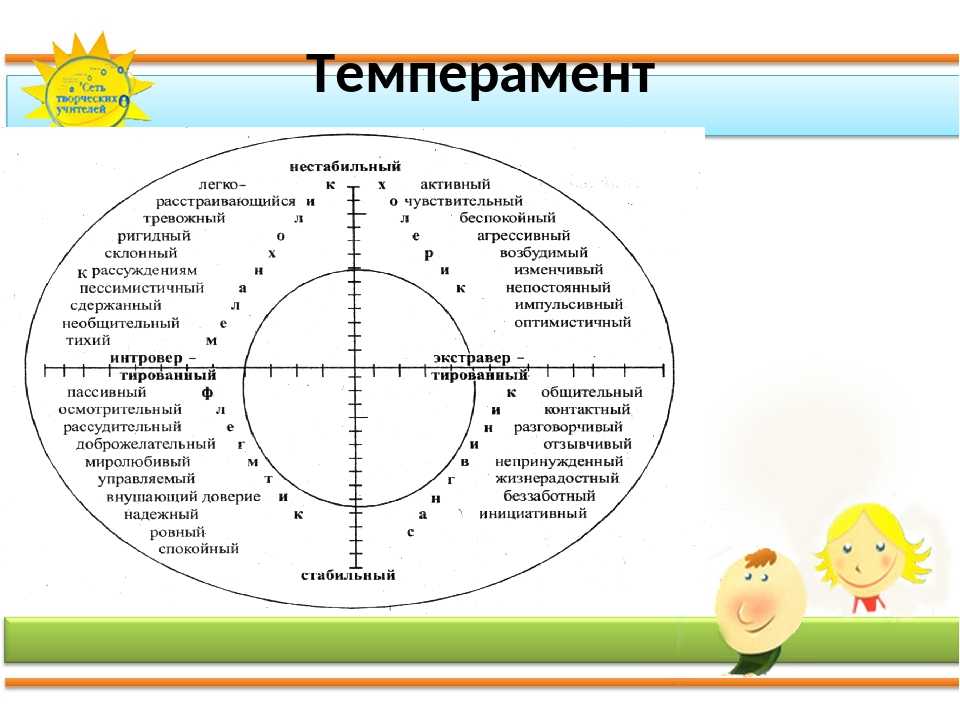 Типы темперамента картинки для детей