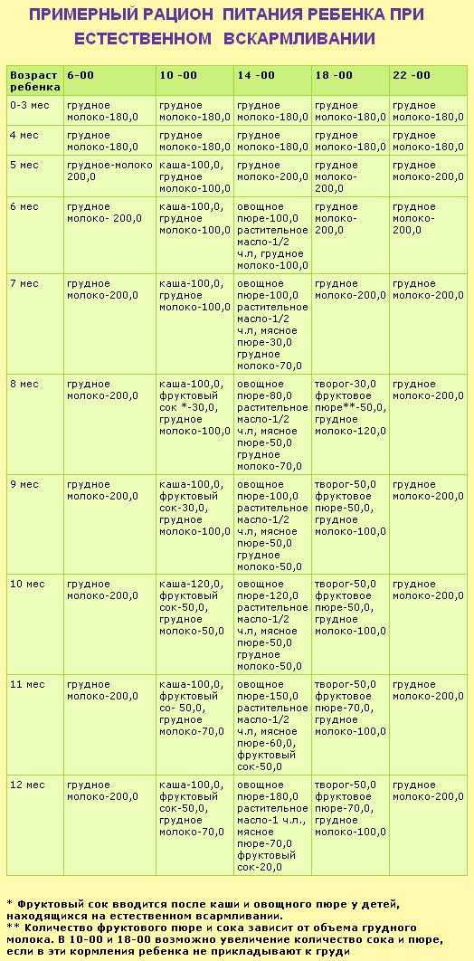 Схема кормления в 6 месяцев