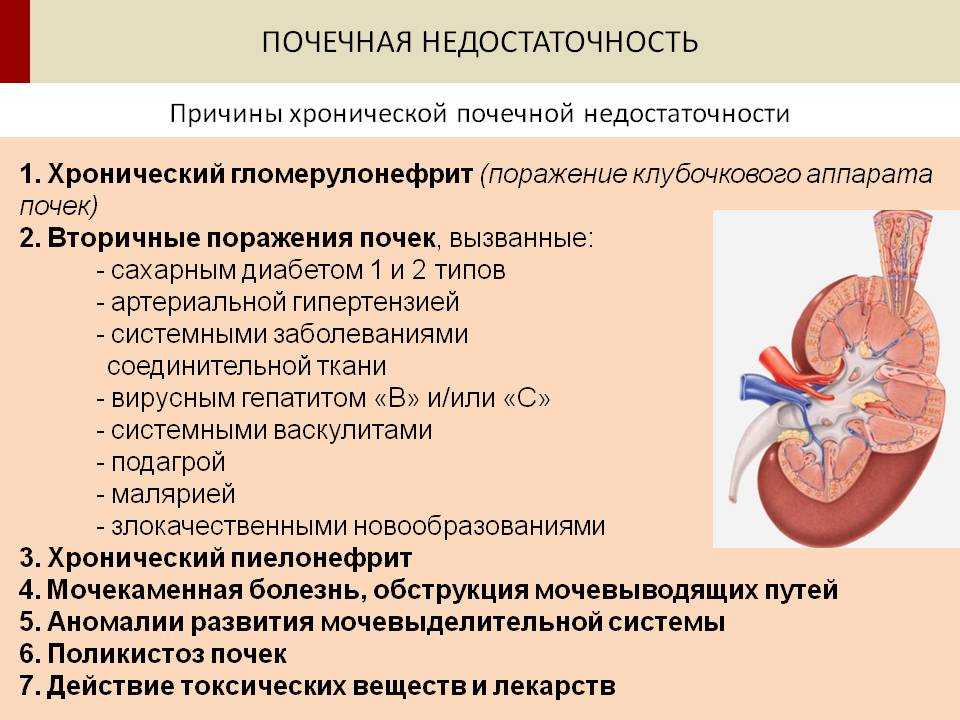 Пиелонефрит и гломерулонефрит у детей презентация