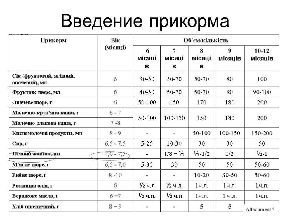 Правила ввода прикорма. Схема прикорма с 4 месяцев. Схема введения прикорма детям первого года жизни. Таблица по введению прикорма с 4 месяцев. Сроки введения прикорма у детей.