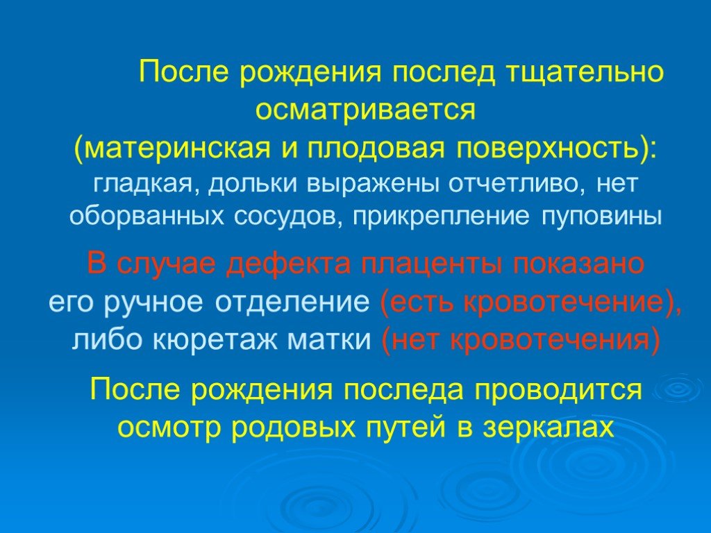 Тщательно осматривал. Материнская плодовая поверхность.