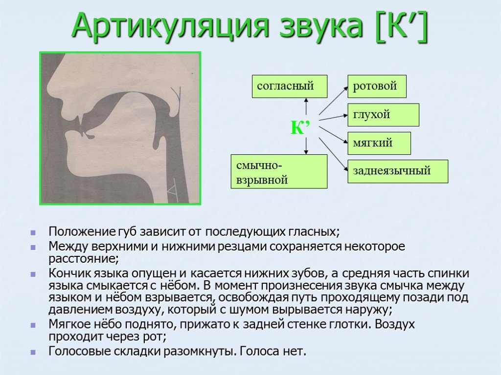 Характеристика звука р в картинках для детей