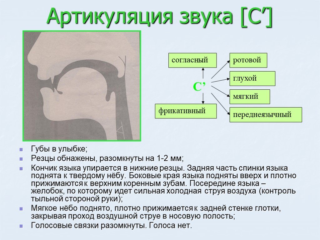 Постановка звука з презентация