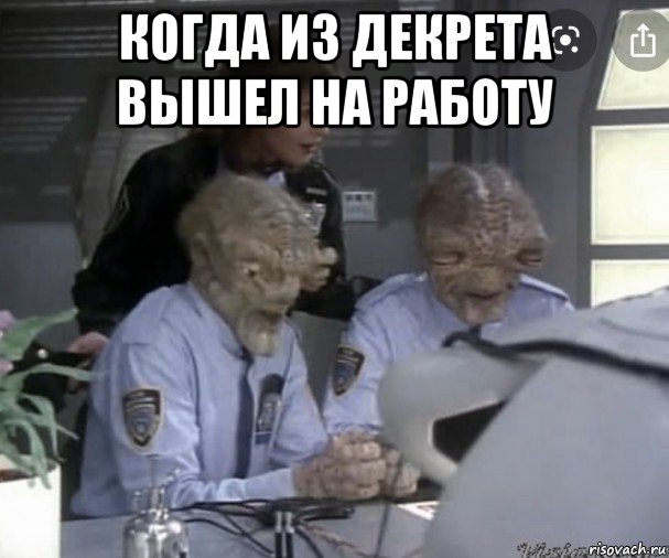 Когда все выходят на работу в январе. Выход на работу после декрета. Выходинатработу после декретап. Когда из декрета вышел на работу. Выход на работу после декретного.