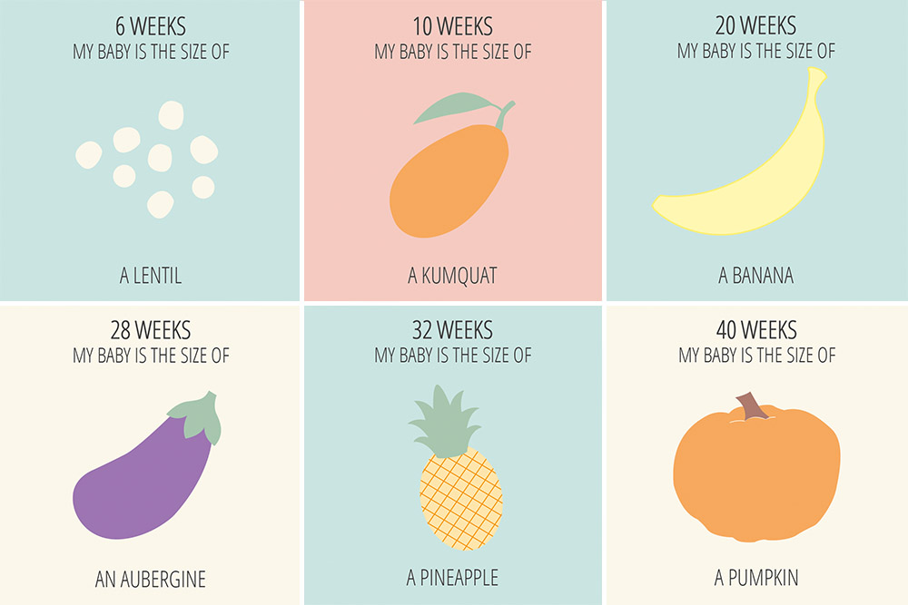 11 недель беременности фото плода какой фрукт
