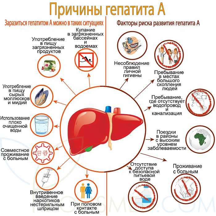 Гепатит с что это за болезнь и как передается фото