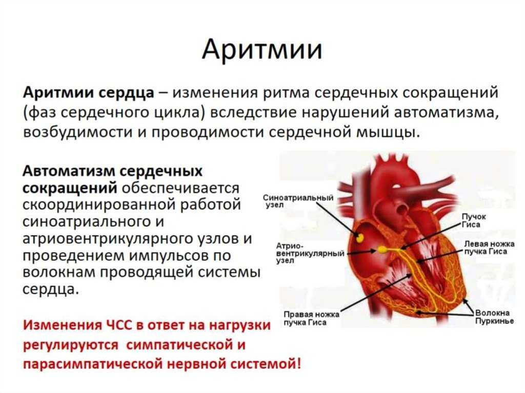 Беременность и заболевания сердца презентация