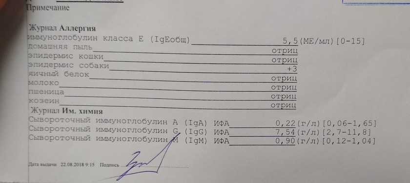 Сдать анализы на аллергию. Справка об исследовании на аллергены. Анализ на аллергены на животных. Аллергическая реакция в анализе крови. Аллергопробы заключение.