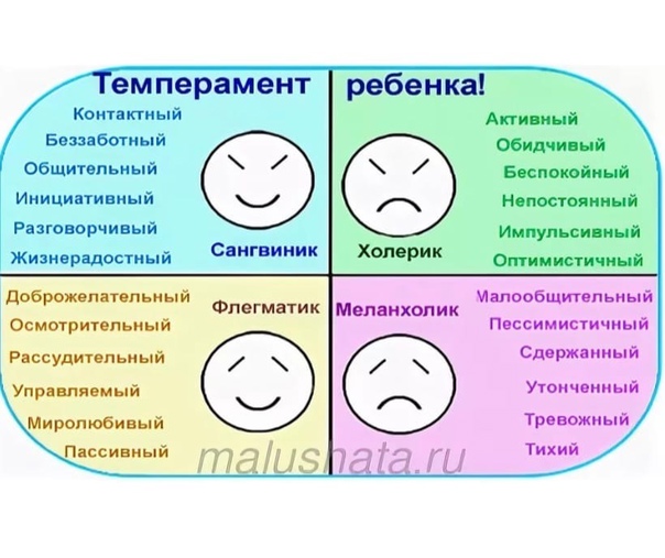 Типы темперамента картинки для детей