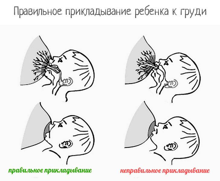 Как правильно прикладывать