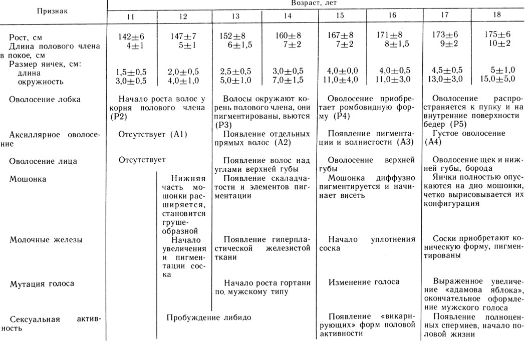 Шкала таннера для мальчиков с рисунками