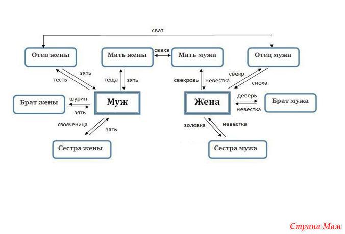 Схема родственных связей в русской семье кто кому приходится