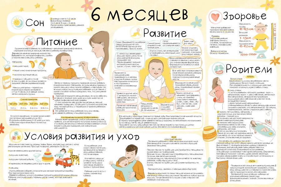 После 6 месяцев