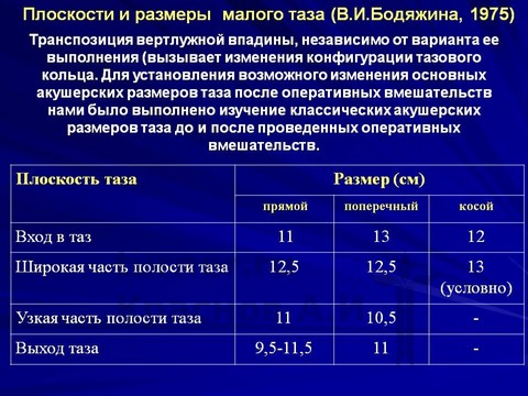 Размеры плоскостей малого таза. Размеры малого таза таблица. Плоскости и Размеры малого таза. Размеры плоскостей таза в акушерстве.