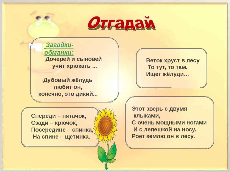 Загадки с под. Загадки обманки. Загадки для детей с ответами. Загадки без рифмы с ответами. Загадки для детей не в рифму.