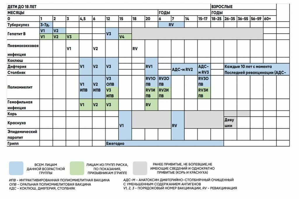Схема детских прививок