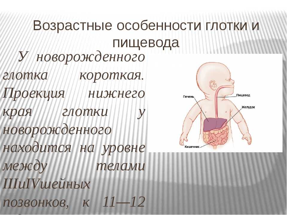 Презентация возрастные особенности развития пищеварительной системы