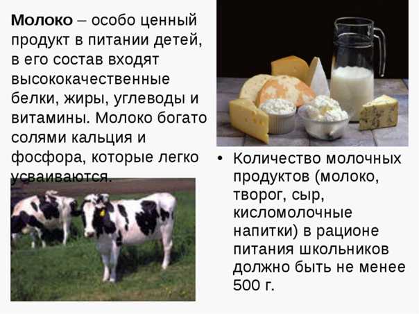 Попасть в молоко. Коровье молоко польза. Информация о молоке коровы. Продукты из коровьего молока. Коровье молоко богато.