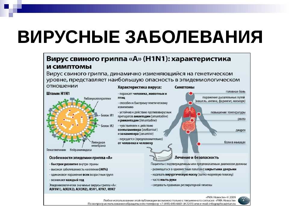Можно ли заразить картинку вирусом