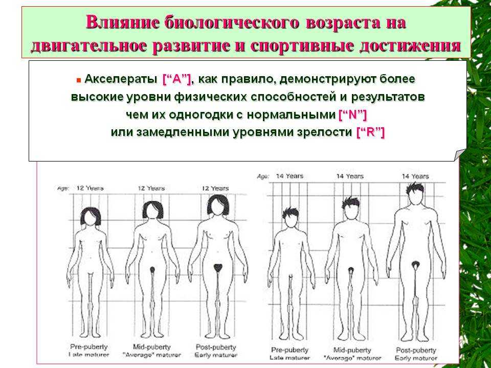 Презентация преждевременное половое развитие