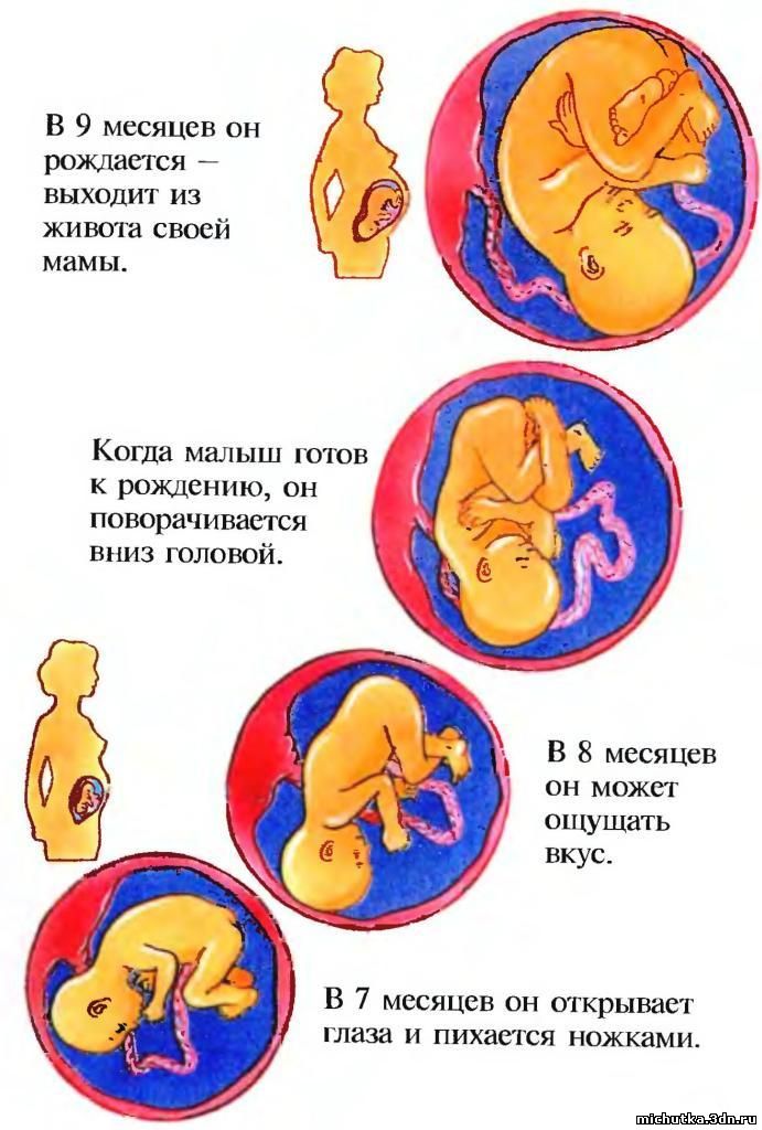 9 месяцев сколько дней