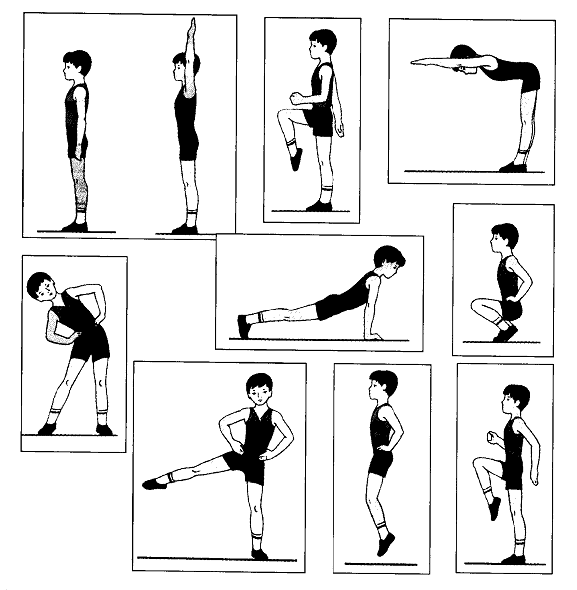 Картинки упражнений по физкультуре для детей